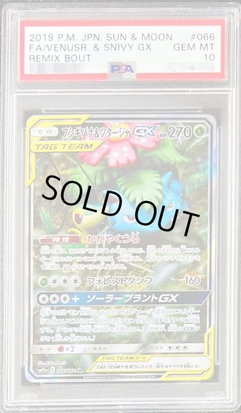 画像1: 【PSA10鑑定済】フシギバナ＆ツタージャGX(SA)《SR》{066/064}[その他] (1)